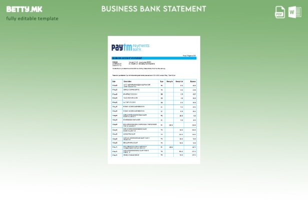 модерен стил PayTM Payments за деловна сметка на компанијата Шаблон Word и PDF